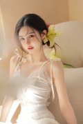 决定赐与陈玉性质严沉